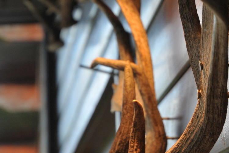 Arbre Dresse Villa Somme-Leuze Phòng bức ảnh